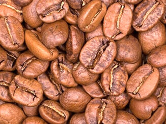 Coffee varieties derived from the Arabica coffee variety (Coffee arabica)