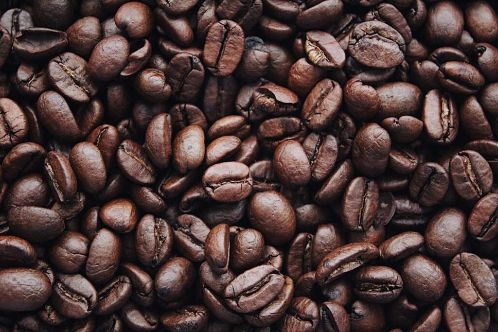Information about the Bourbon coffee variety