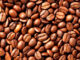 The CXR (Caturra X Robusta) coffee variety