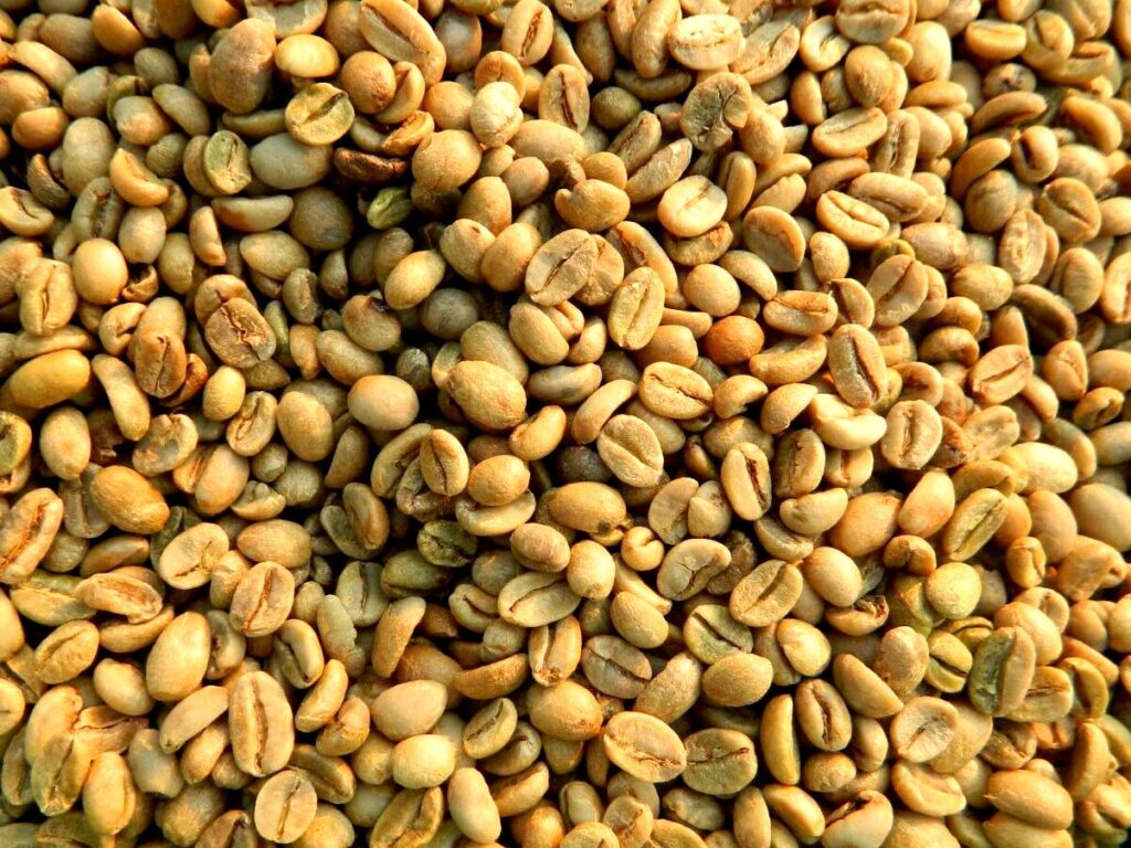 The Sidamo coffee variety also comes from Ethiopia