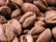 The coffee variety S274 which comes from the Robusta variety (Coffea canephora)