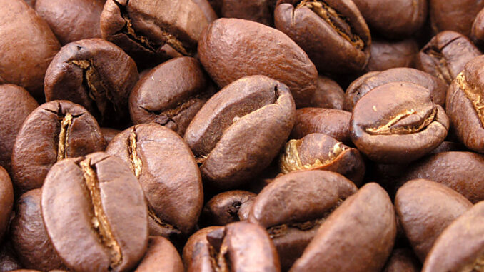 The coffee variety S274 which comes from the Robusta variety (Coffea canephora)