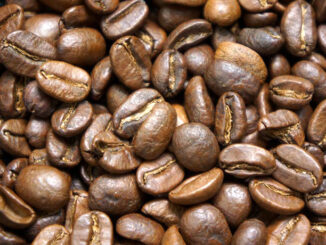 Ιnformation on the Arabica Typica coffee variety