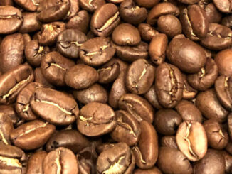Information about the Arabusta coffee variety (Arabica-Robusta Hybrid)