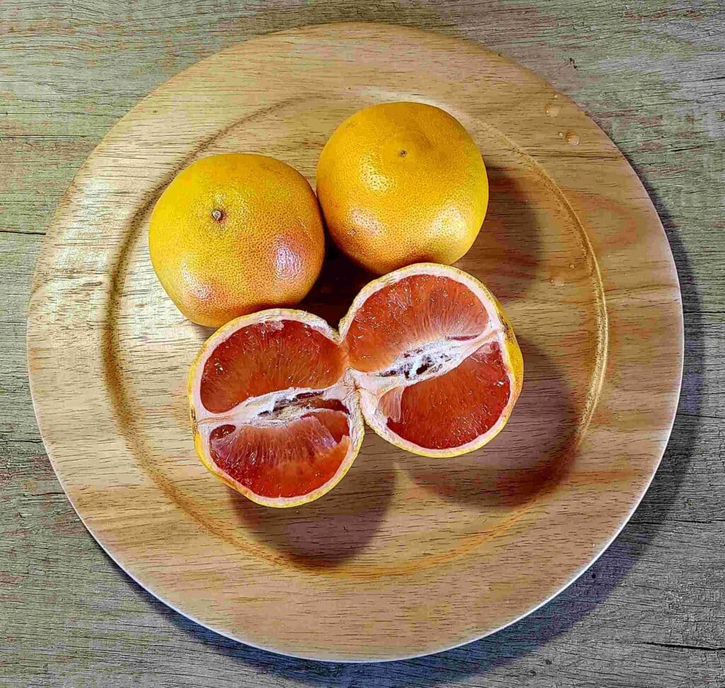 Grapefruit - Photo By Thanasis Bounas