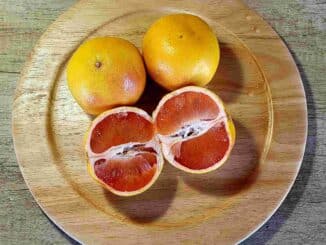 Grapefruit - Photo By Thanasis Bounas
