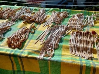 Homemade pasta with wheat flour - Photo By Thanasis Bounas